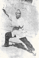 Grandmaster Wei demonstrating the  falling stance