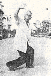 Grandmaster Wei demonstrating the  resting stance